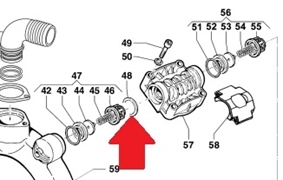 Кольцо 48,5х33,5х2,5 INOX AISI316 насоса BP 115/135/241/281 (1х6)