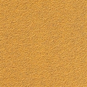 GOLD Р220