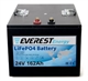 Литиевый аккумулятор Everest Energy LFP-24V162А - фото 57269